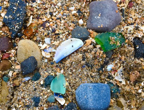 Sea Glass Rocks!